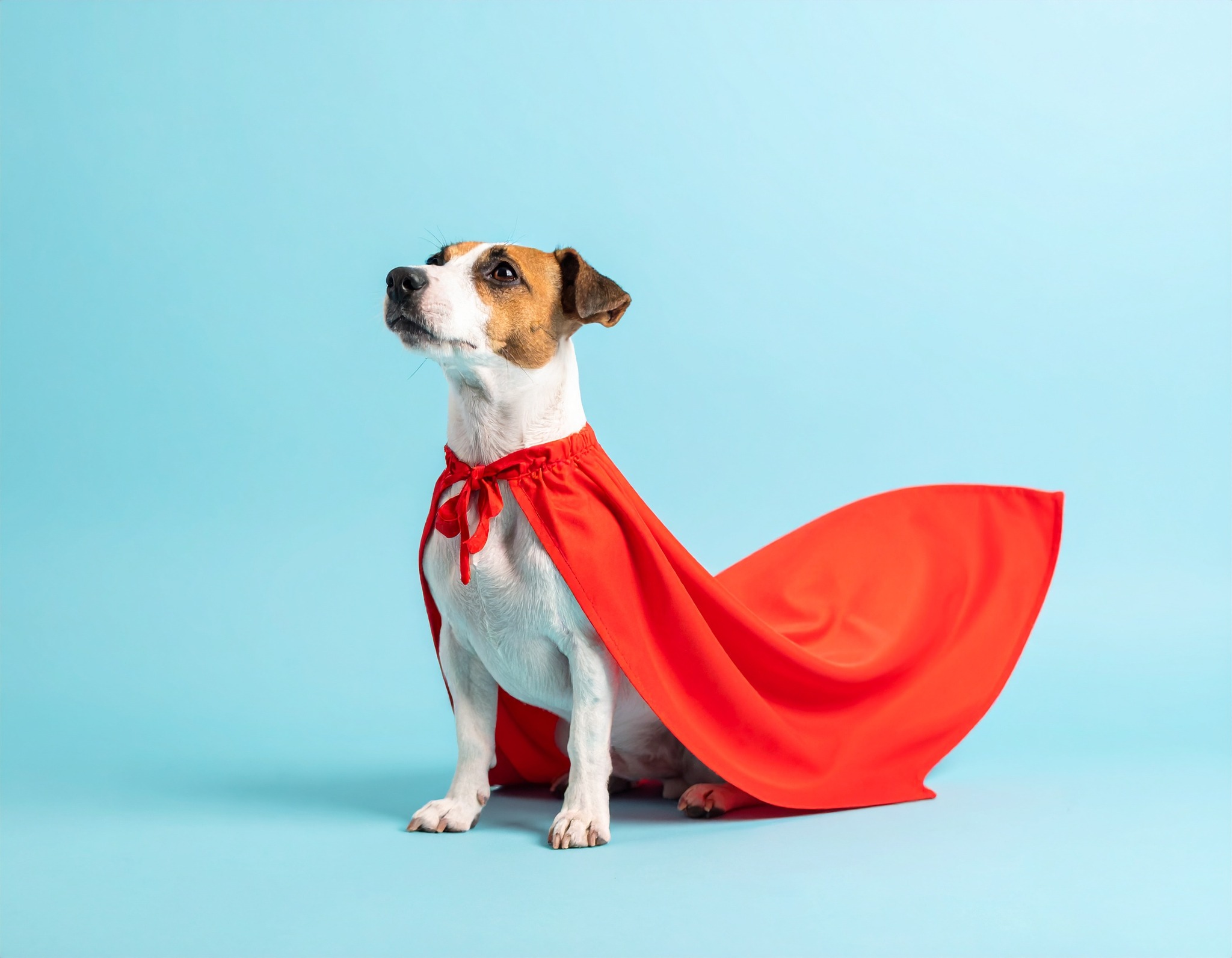 Calm & Tender Audio PDF